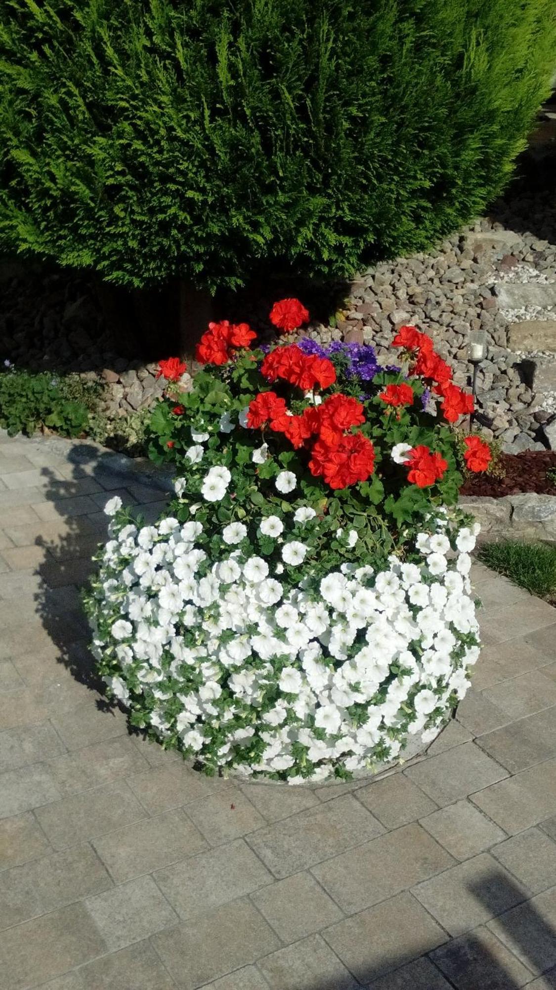 Ferienwohnung Seegarten Waldbuttelbrunn Εξωτερικό φωτογραφία